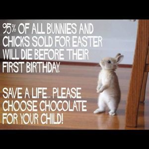 Meet your Posher, Colleen